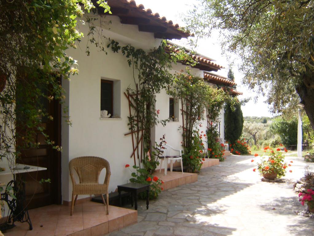 Kortiri Studios Ayos Nikolaos Oda fotoğraf