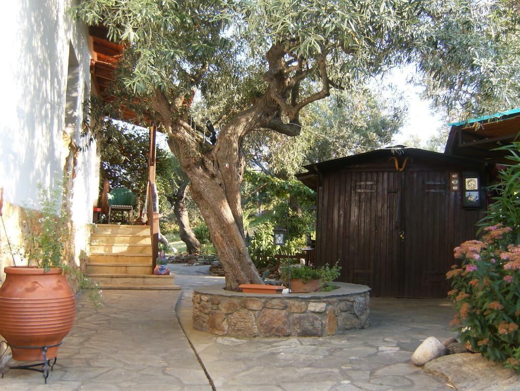 Kortiri Studios Ayos Nikolaos Dış mekan fotoğraf